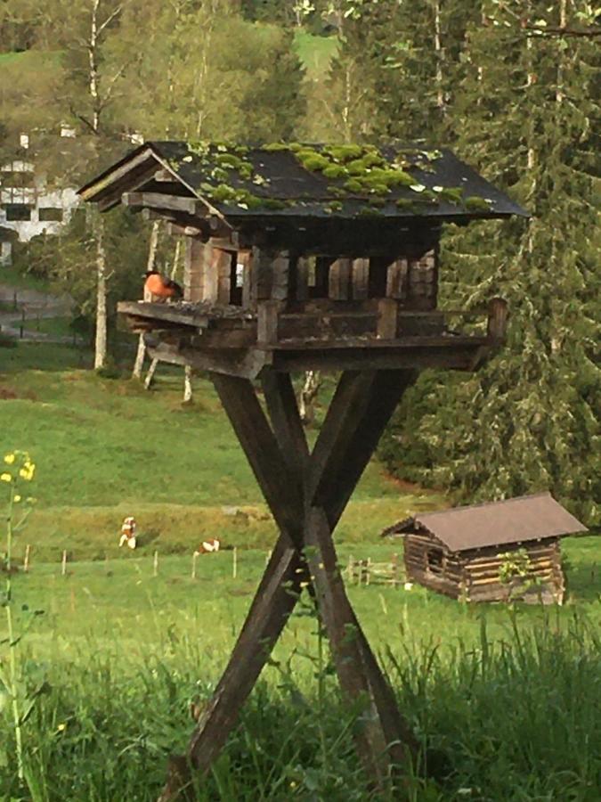 Hof Hintererb Villa Kitzbühel Eksteriør bilde