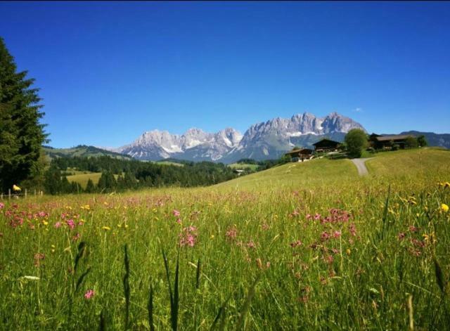 Hof Hintererb Villa Kitzbühel Eksteriør bilde